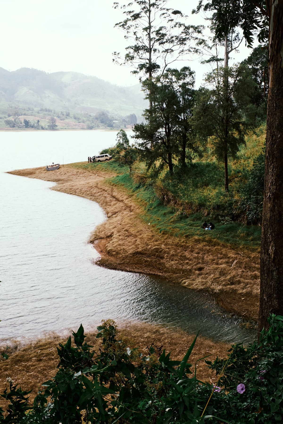The Cost of Tea — Sri Lanka — frame